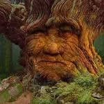 Mulch consumer - @thuja_plicata_eater - Instagram