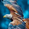 THUNDER HAWK - @bimztebioenardecido - TikTok