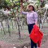 Thuong Kim - @thuongkim25 - TikTok