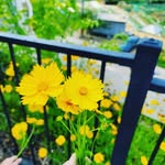 Thương Kim - @thuong_soi - Instagram
