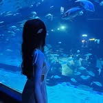 Thương Kim - @kthg_308 - Instagram