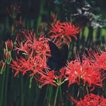 La Thương - @thuong.la - Instagram