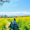 thuong97_43🇯🇵🇻🇳 - @thuonglazy_97 - TikTok