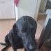 Thurman Dickey - Facebook