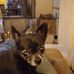 Thurman Wallace - Facebook