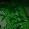 Tia Atkinson - @tia.atkinson1 - TikTok