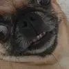 Tia - @tiabailey692 - TikTok
