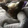 tiabeaman - @tiabeaman - TikTok
