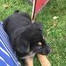 Tiara Beam - Facebook