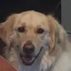 tialbritton1 - @tialbritton1 - TikTok