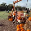 Tia • first time mama - @tia.cody - TikTok