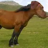 dennis - @tiadennis6 - TikTok