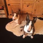 Logan-tia - @logan_tiaebt - Instagram