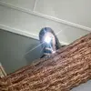 Tia Mitchell's Funnah - @tia.mitchell_ - TikTok