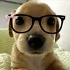 Tia Rees - @tia010704 - TikTok
