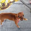 tia reichert - @tiareichert1 - TikTok