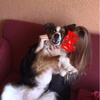 Tia Richardson - @tiarichardson8 - TikTok
