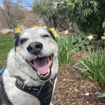 Tia Shaw - @ladyshawneeotbay - Instagram