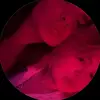 tiashaw - @tia.shaw - TikTok