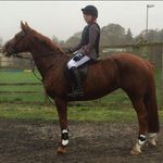 Tia Simpson - @tiasimpson99 - Instagram