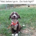 Tia Townsend - @dat._boi._dylan - Instagram
