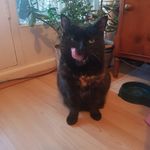 Tia Townsend - @tiatownsend2 - Instagram