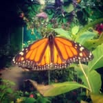 Edward M. Baker - @satyea_tiaweber - Instagram
