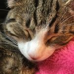 Tia Dylan Webster - @missyawebster - Instagram