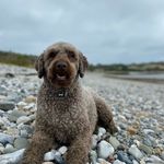 Tia Webster - @weasels_adventures_ - Instagram