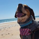 tia willis - @jones_ripley_bishop - Instagram