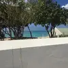 Tia Willis - @tiawillis - TikTok