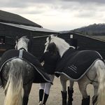 Tia Yates☼ - @tiayates.showjumping - Instagram