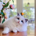 Tianchen Wang - @citrus_jumy - Instagram