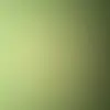 Benjamin Tianna - @benjamin.tianna - TikTok