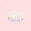 Tiannamariefields - @tiannamariefields - TikTok