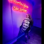 Tiara Hall - @exoticambition_t - Instagram