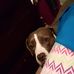 Tiara Holmes - Facebook