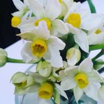 Тиара - @tiara__moon_ - Instagram