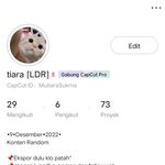 tiara [LDR] - @tiara_templet - Instagram