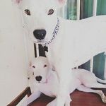 tiara&tyler - @tiara_tyler2 - Instagram