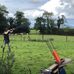 Tiernan Doyle - Facebook