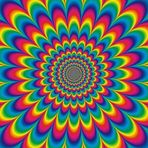 Tierra Bright - Facebook