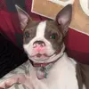 sierra_falls - @sierra_falls - TikTok