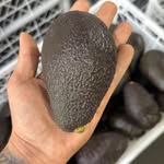 Tierragreen🥑 - @tierra.greenspa - Instagram