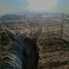 Tierra Jones - @tierra.jones76 - TikTok