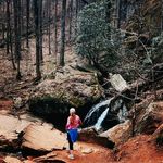 Tiffani Harris Honeycutt - @td_hiker_21 - Instagram