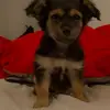 Tiffany Murphy - @tiffan.murphy - TikTok