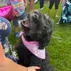 Tiffani Thompson - @tifftock365 - TikTok