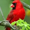 Tiffanie Walker - @tiffanie.walker - TikTok
