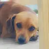 Tiffany ash - @tiffany.ash8 - TikTok